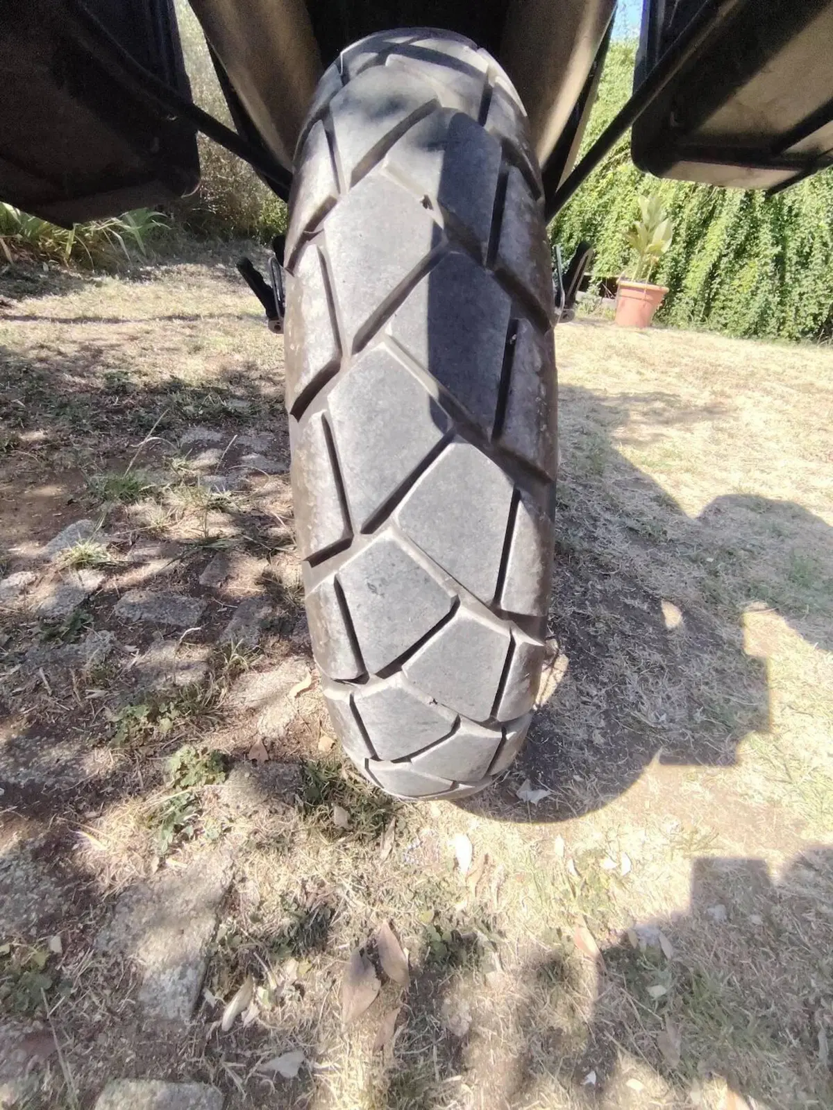 Swm Superdual 600 T (2023 - 24) (6)