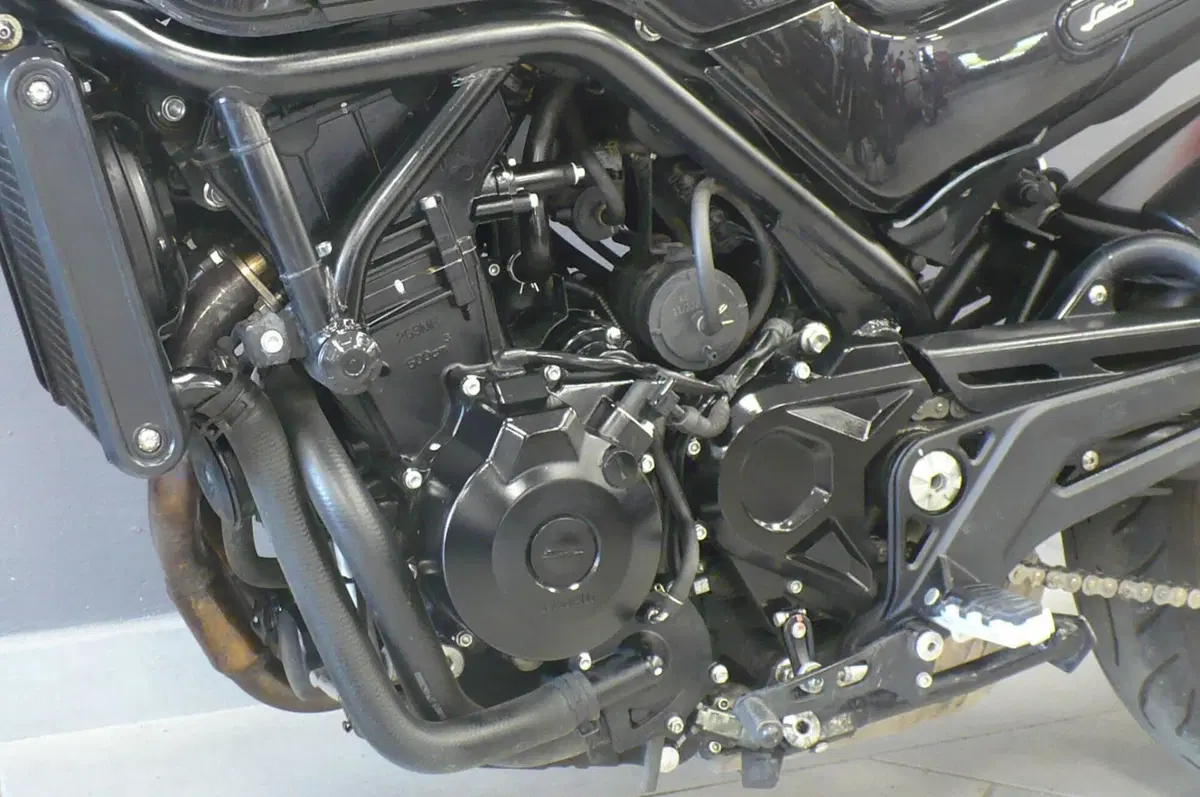 Benelli Leoncino 500 (2021 - 25) (6)