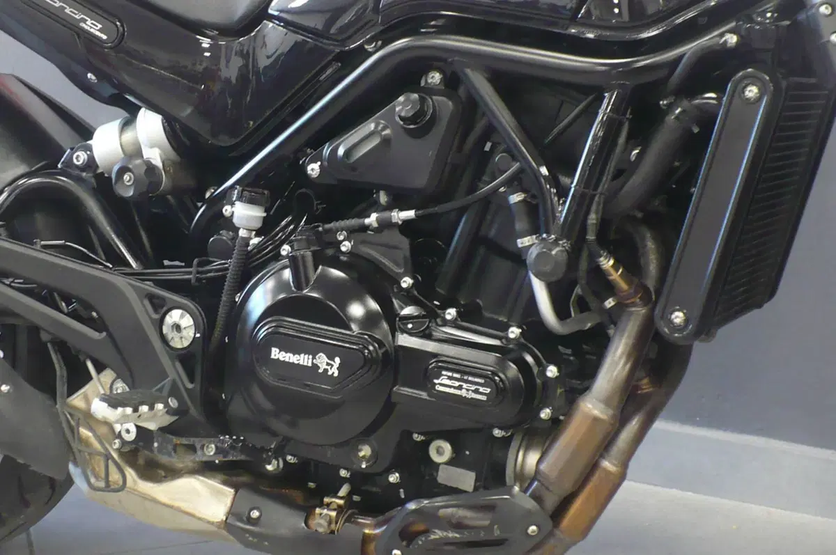 Benelli Leoncino 500 (2021 - 25) (7)
