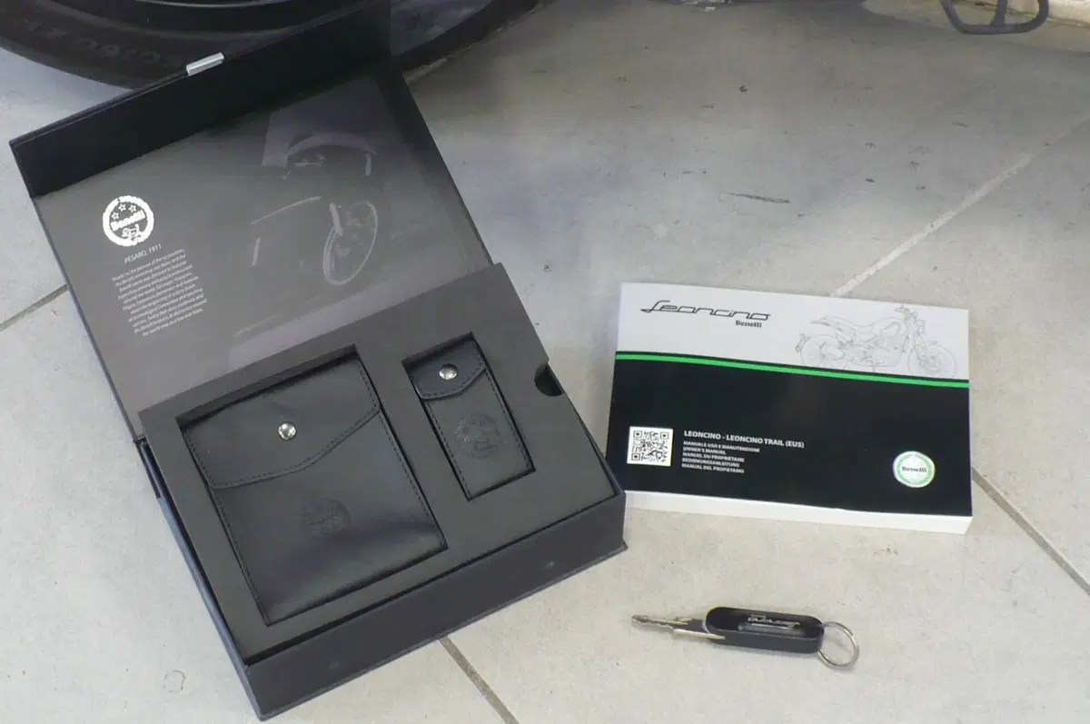 Benelli Leoncino 500 (2021 - 25) (9)