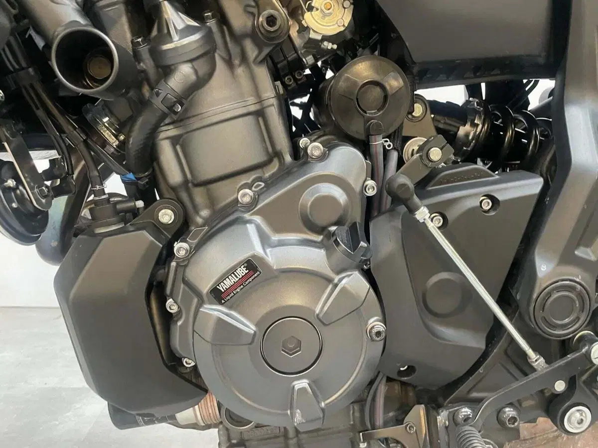 Yamaha MT-07 (2021 - 24) (11)