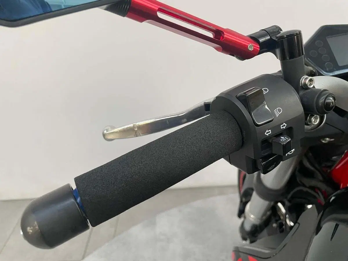Benelli BN 302 S (2019 - 20) (4)