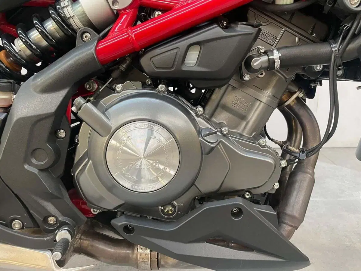 Benelli BN 302 S (2019 - 20) (8)
