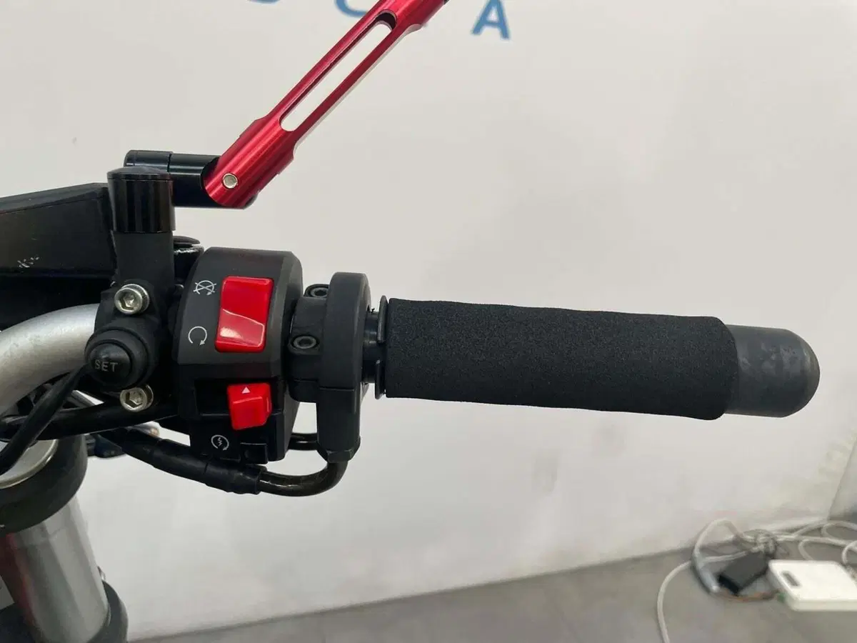 Benelli BN 302 S (2019 - 20) (10)