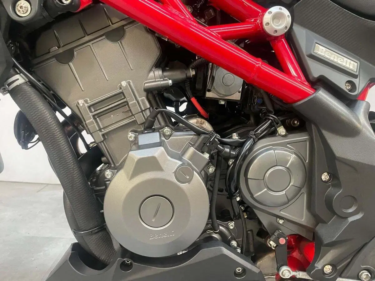 Benelli BN 302 S (2019 - 20) (17)