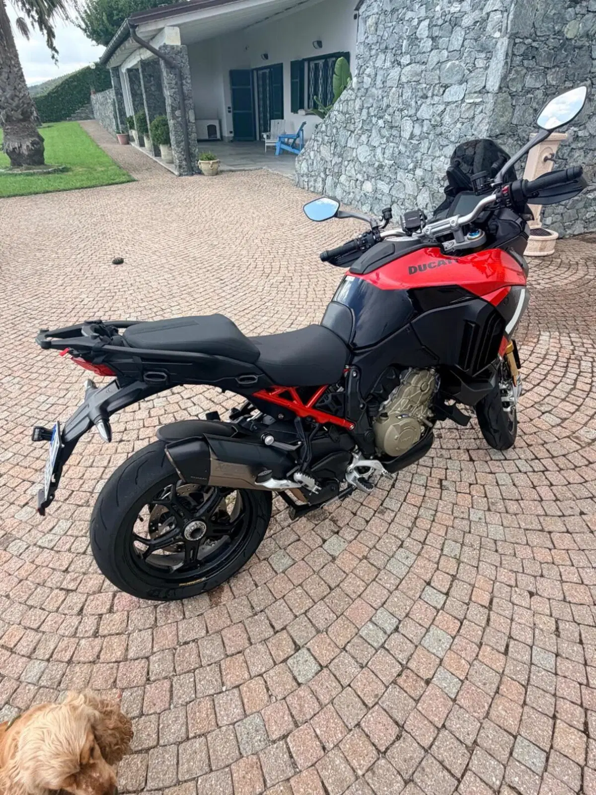 Ducati Multistrada V4 Pikes Peak (2025 - 26) (7)