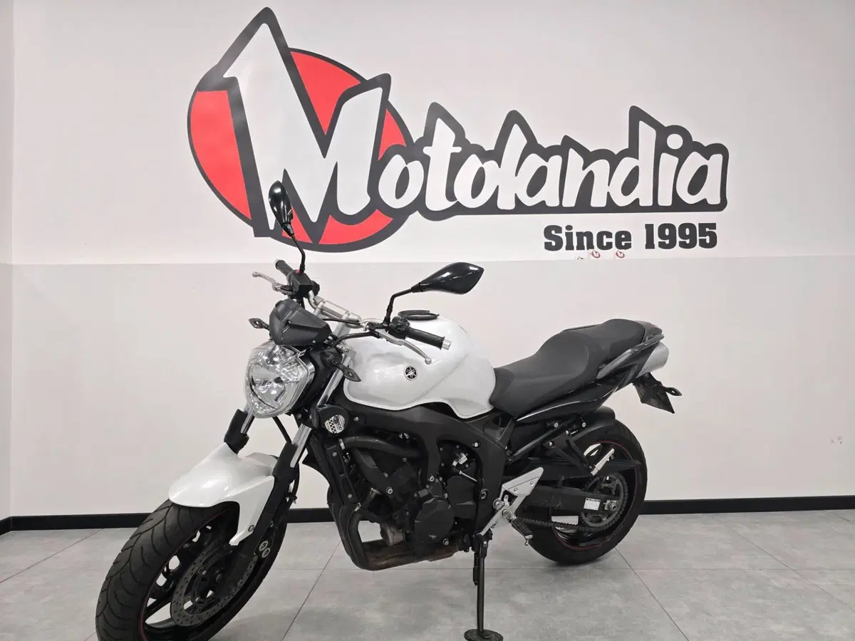 Yamaha FZ6 S2 (2007 - 11) (2)