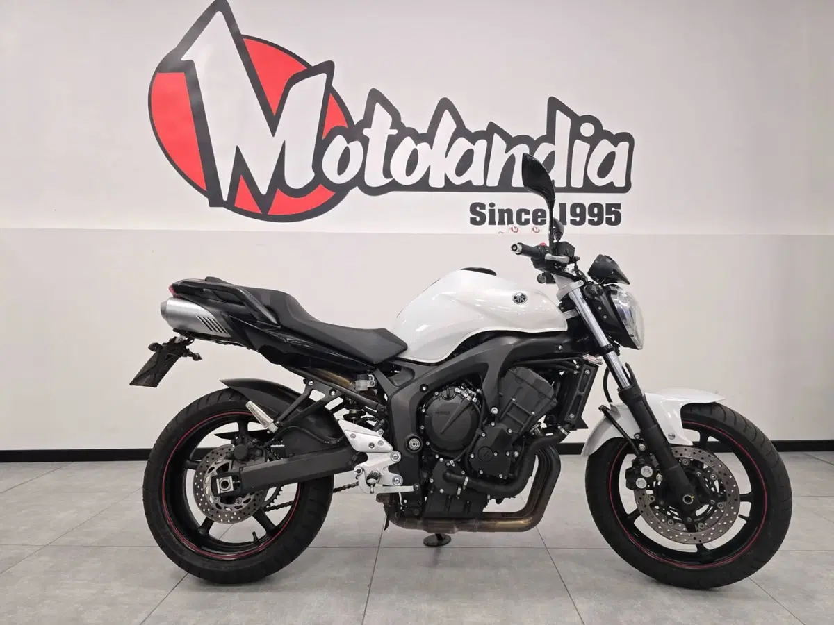 Yamaha FZ6 S2 (2007 - 11) (4)