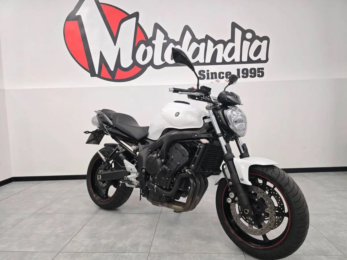 Yamaha FZ6 S2 (2007 - 11)