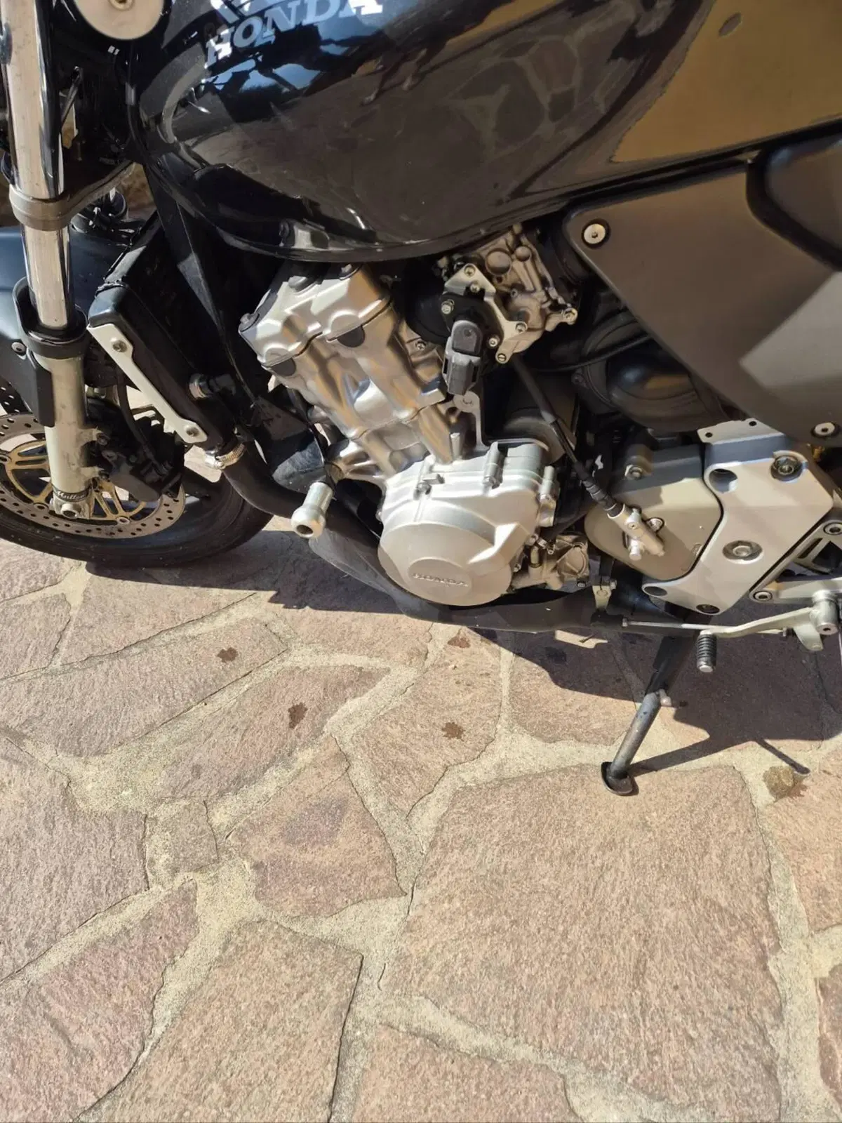 Honda Hornet 600 (2000 - 02) (4)