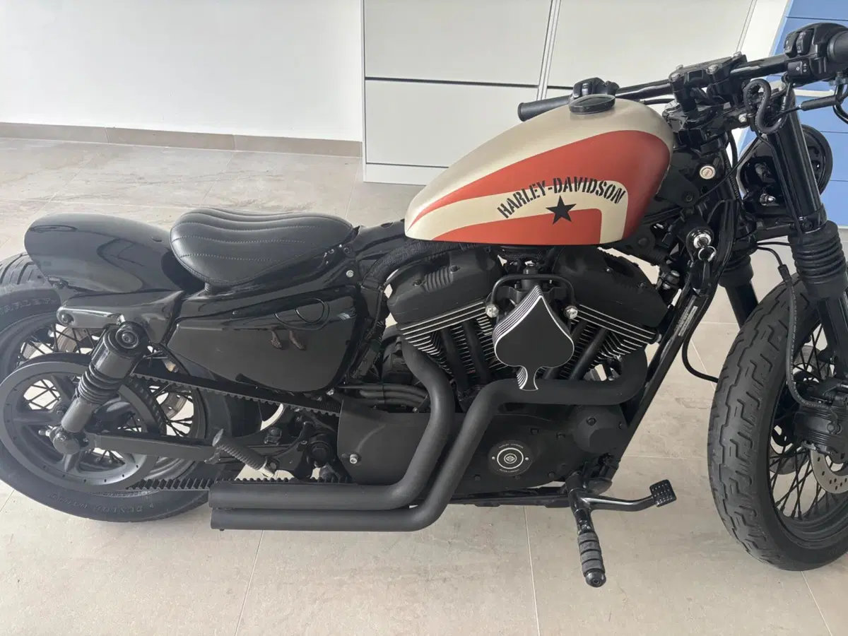 Harley-Davidson 1200 Roadster (2006 - 08) - XL 1200R