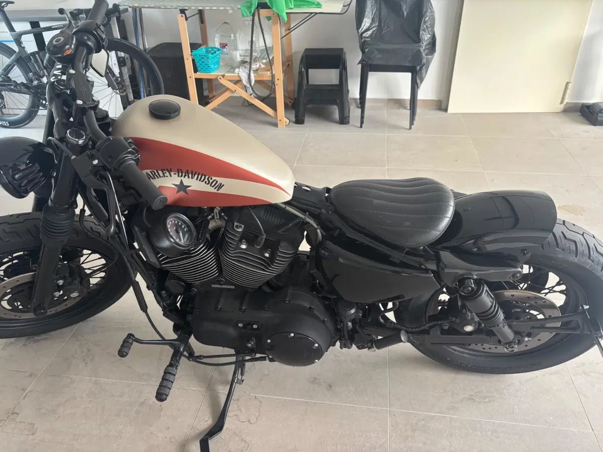 Harley-Davidson 1200 Roadster (2006 - 08) - XL 1200R (3)