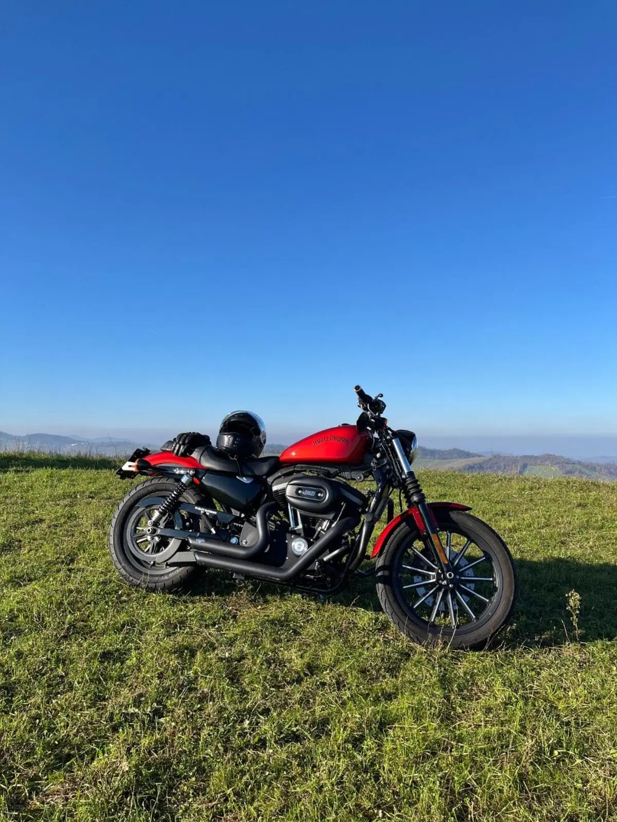 Harley-Davidson 883 Iron (2012 - 14) - XL 883N (9)