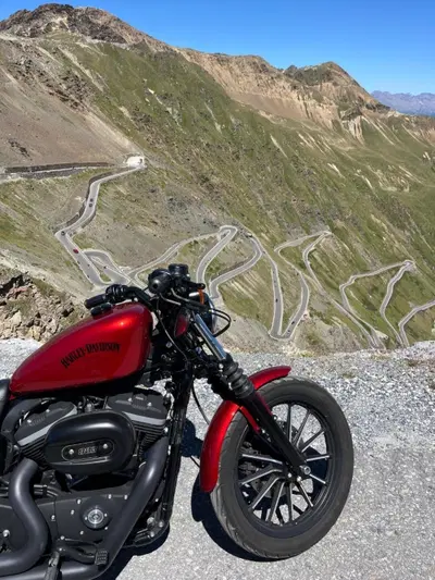 Harley-Davidson 883 Iron (2012 - 14) - XL 883N usata