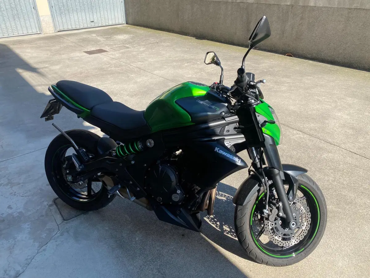 Kawasaki ER-6N ABS (2012 - 16) (3)