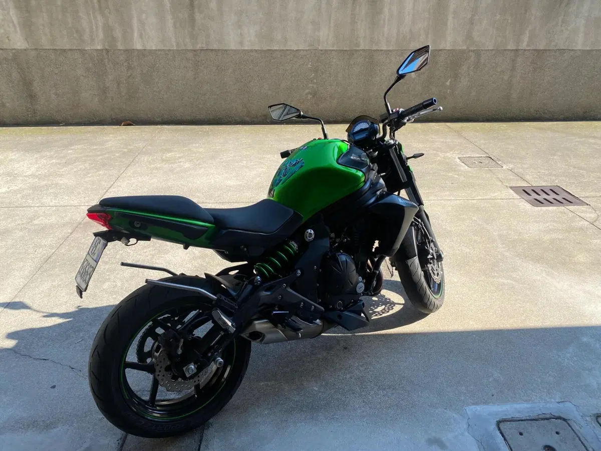 Kawasaki ER-6N ABS (2012 - 16) (4)