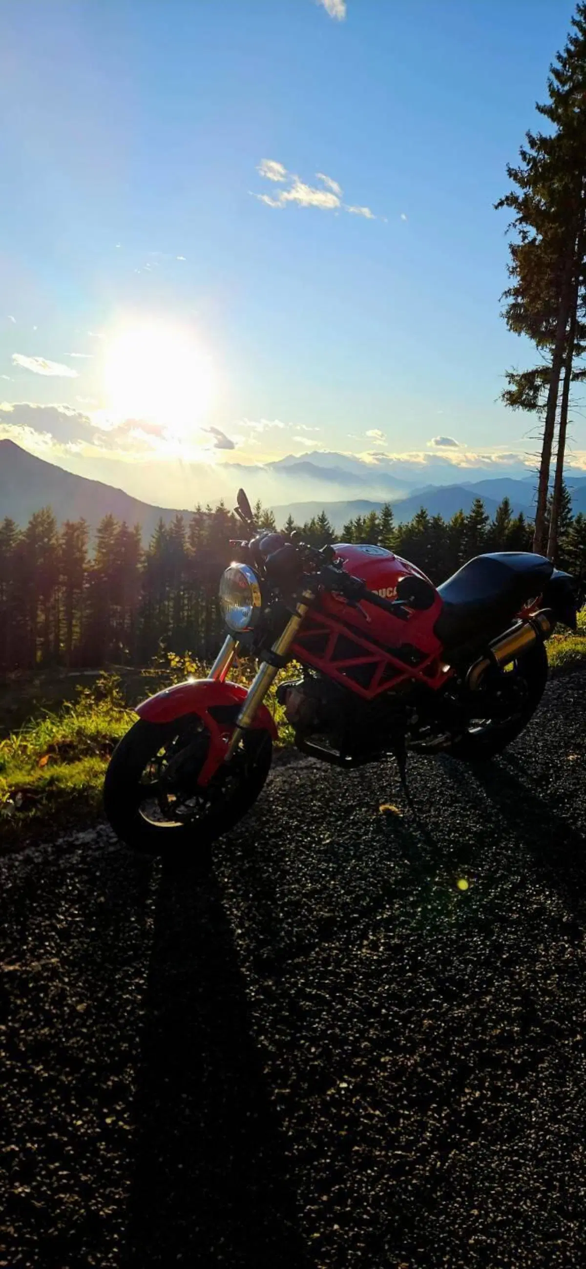 Ducati Monster 695 (2006 - 08) (2)