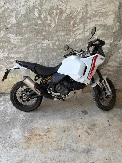 Ducati DesertX (2022 - 25) usata