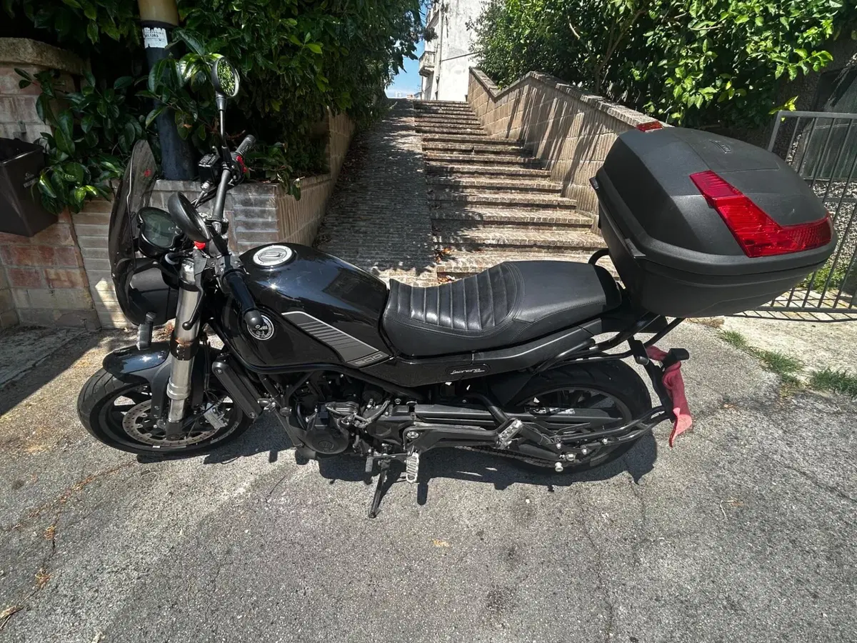 Benelli Leoncino 500 (2021 - 25) (4)