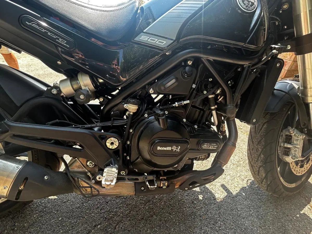 Benelli Leoncino 500 (2021 - 25) (6)