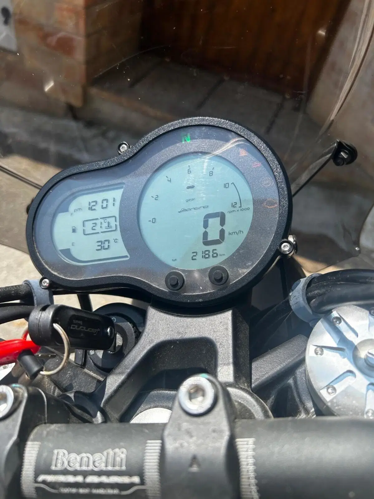 Benelli Leoncino 500 (2021 - 25) (7)
