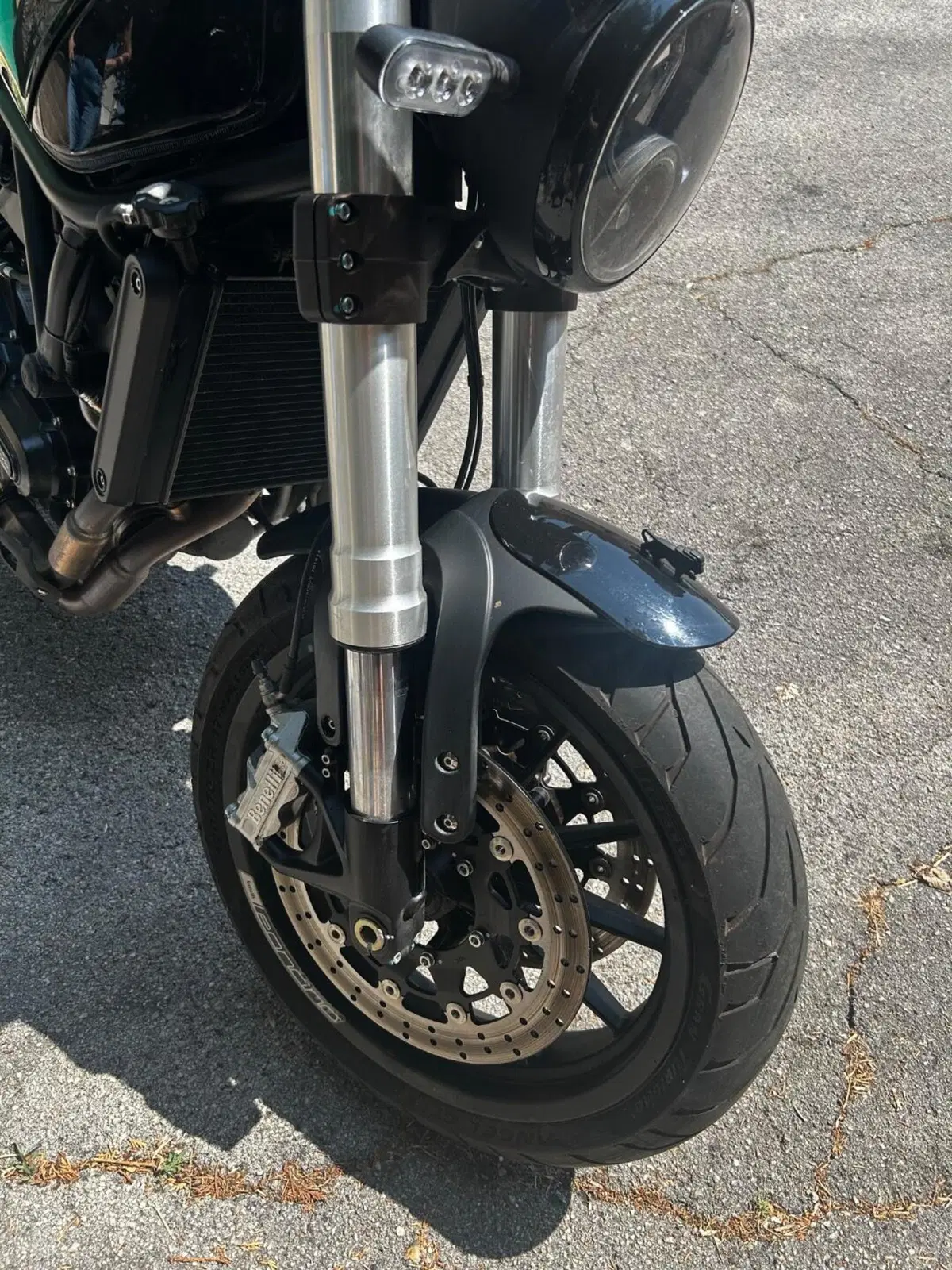 Benelli Leoncino 500 (2021 - 25) (8)