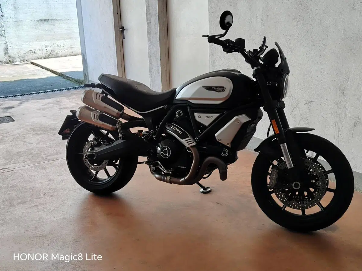 Ducati Scrambler 1100 Dark Pro (2020 - 24) (3)