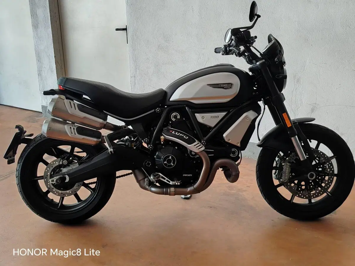 Ducati Scrambler 1100 Dark Pro (2020 - 24) (4)