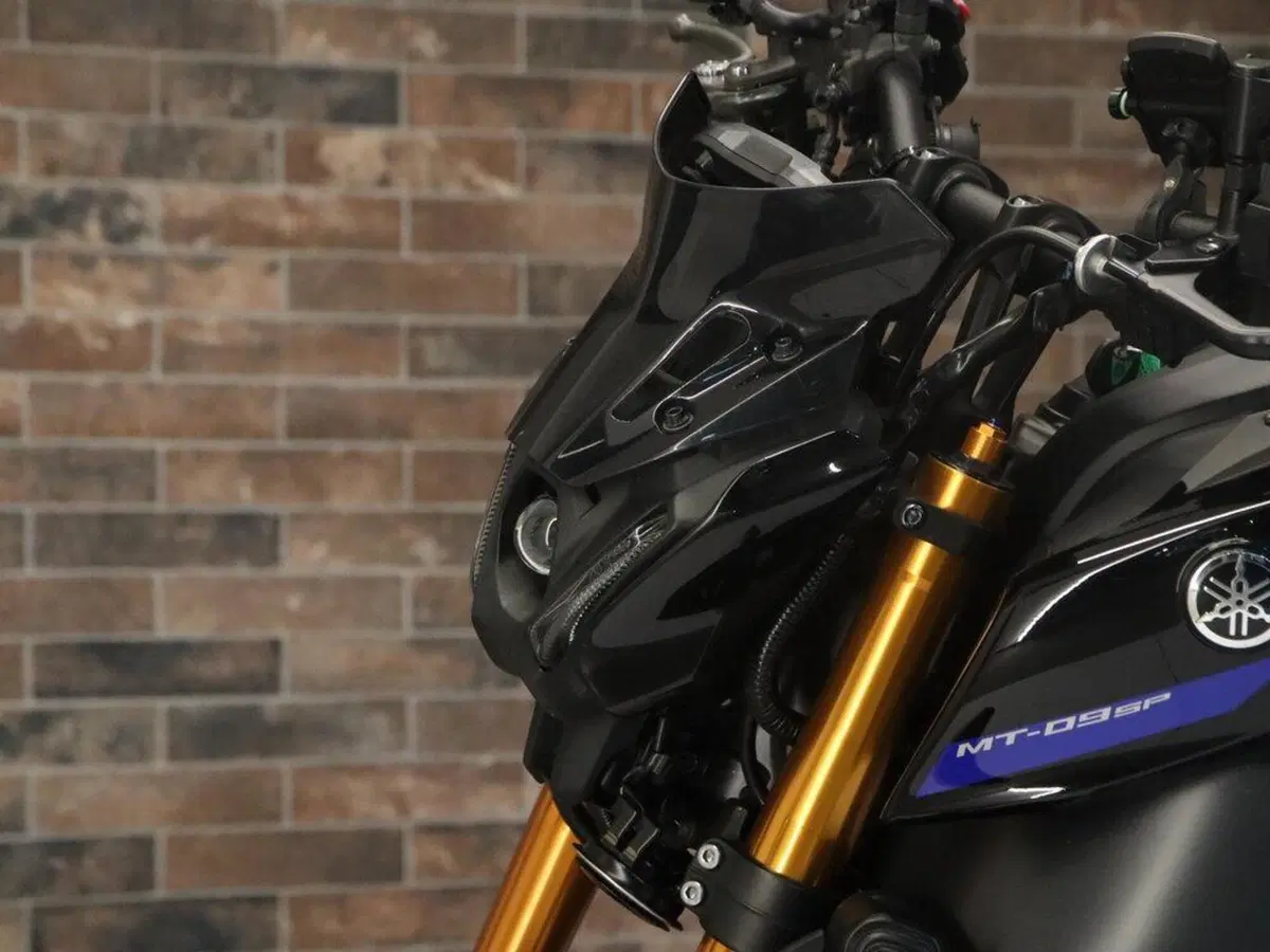 Yamaha MT-09 SP (2021 - 23) (13)