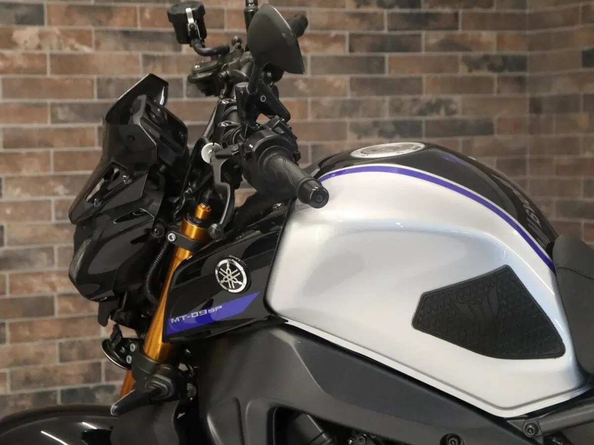 Yamaha MT-09 SP (2021 - 23) (10)