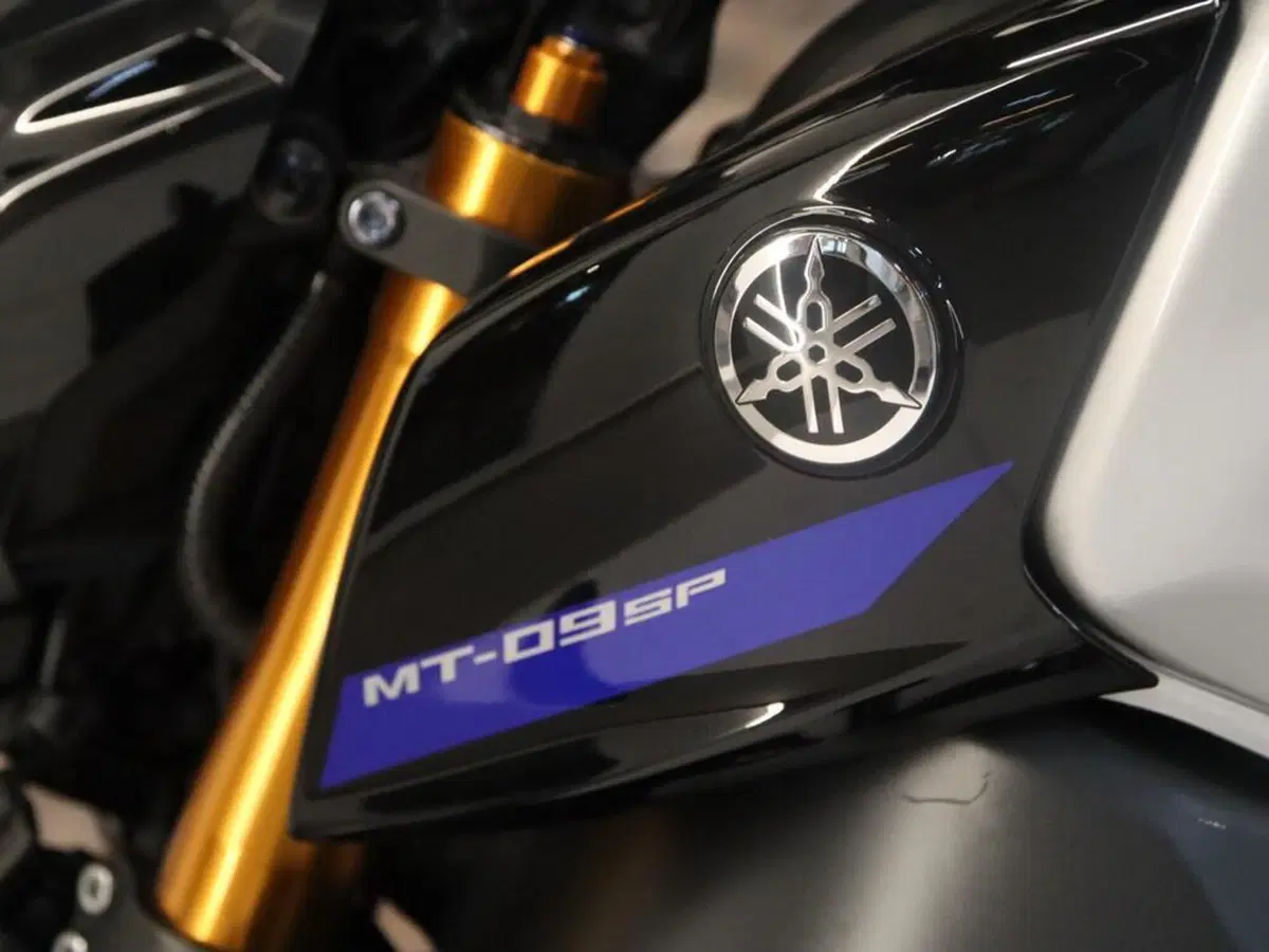 Yamaha MT-09 SP (2021 - 23) (14)