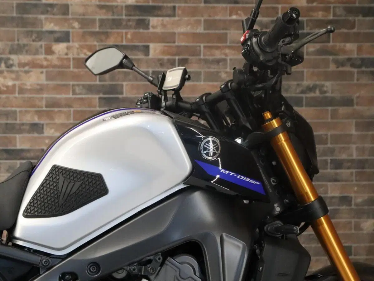 Yamaha MT-09 SP (2021 - 23) (9)