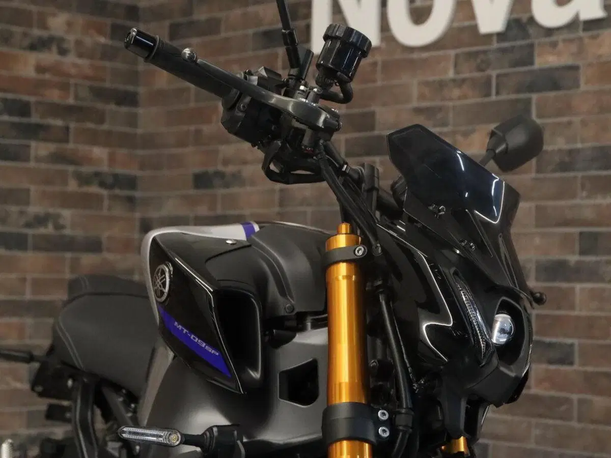 Yamaha MT-09 SP (2021 - 23) (15)