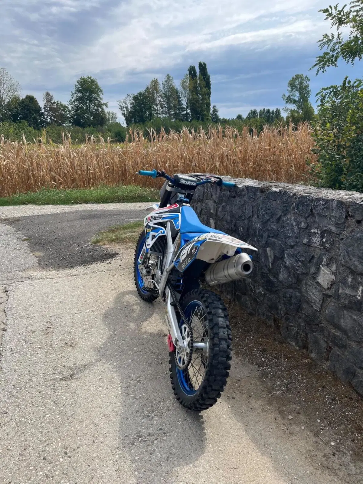 Tm Moto MX 250 Fi KS (2013) (2)