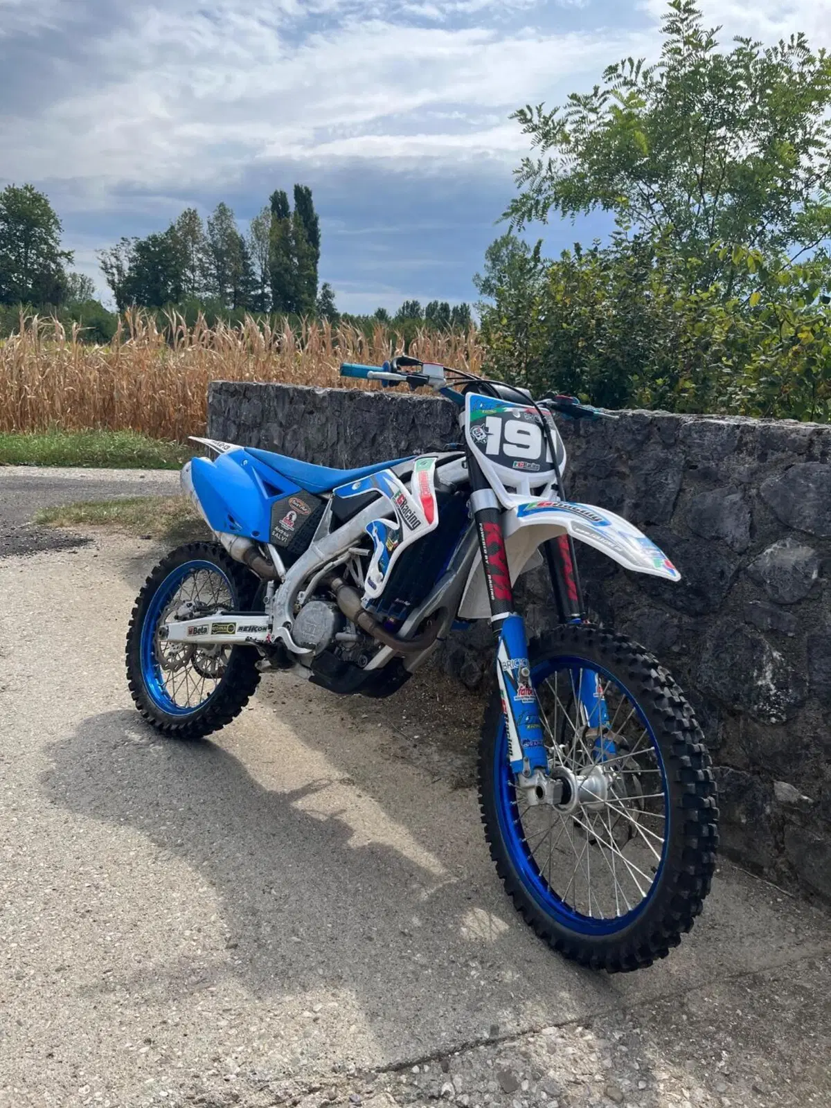 Tm Moto MX 250 Fi KS (2013) (3)