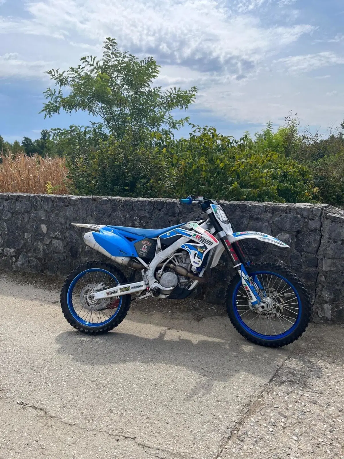 Tm Moto MX 250 Fi KS (2013) (4)