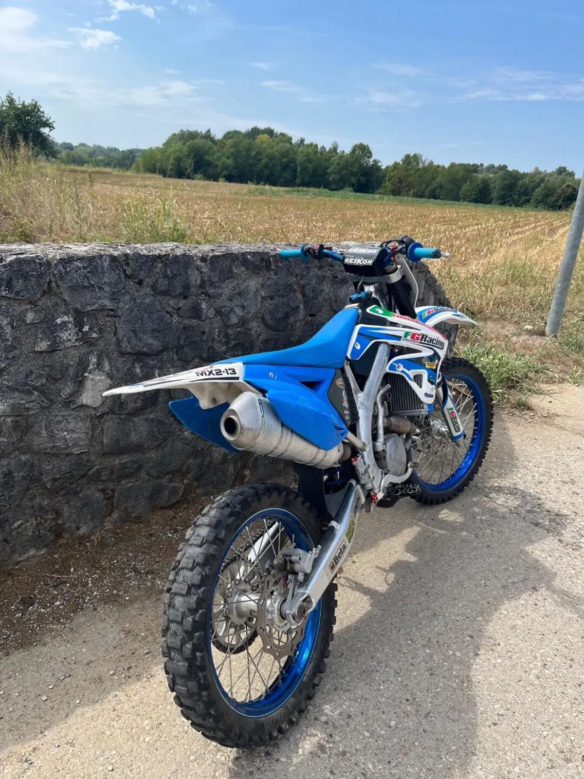 Tm Moto MX 250 Fi KS (2013) (5)