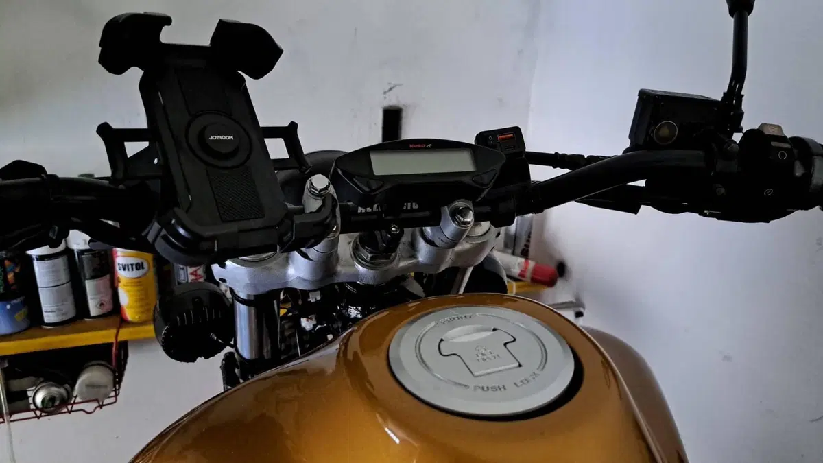 Honda NX 650 Dominator (1996 - 02) (2)