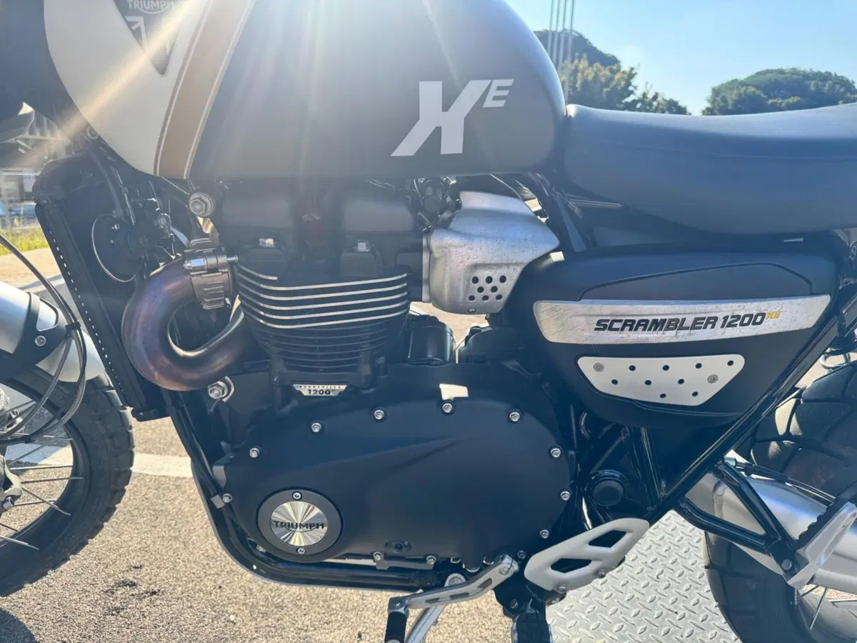 Triumph Scrambler 1200 XE (2026) (7)
