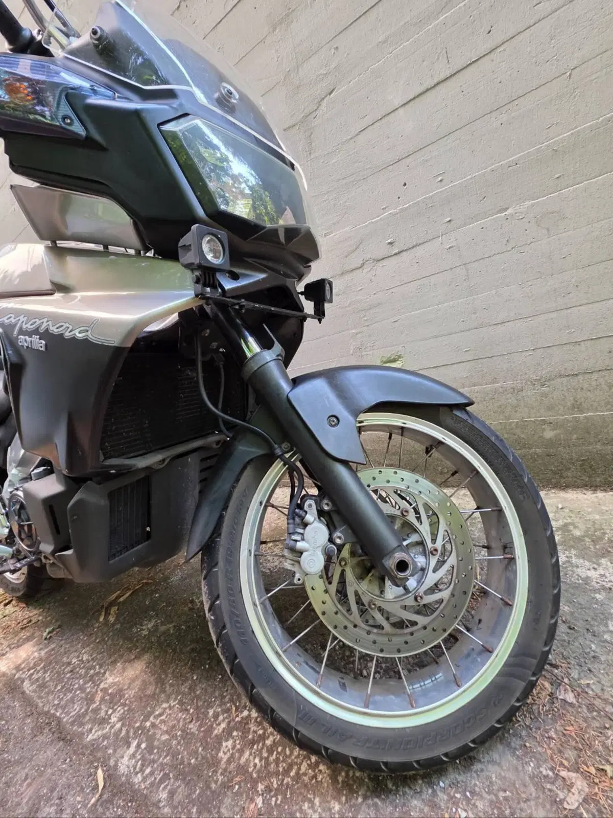 Aprilia Caponord ETV 1000 (2001 - 04) (11)