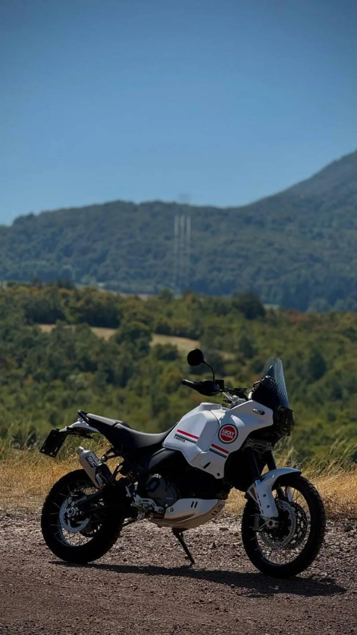 Ducati DesertX (2022 - 25) (2)