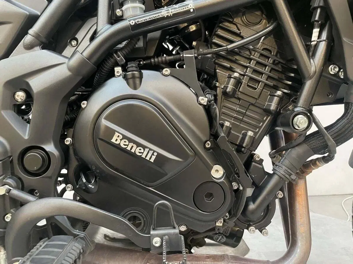 Benelli TRK 702 (2023 - 25) (5)