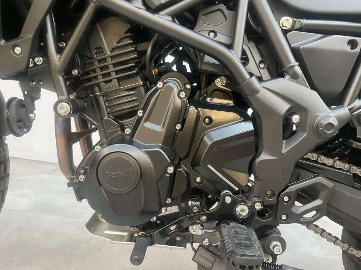 Benelli TRK 702 (2023 - 25) (16)