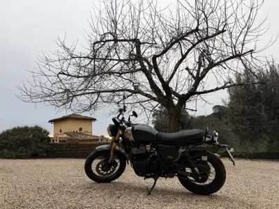 Royal Enfield Bear 650 (2025 - 26) usata