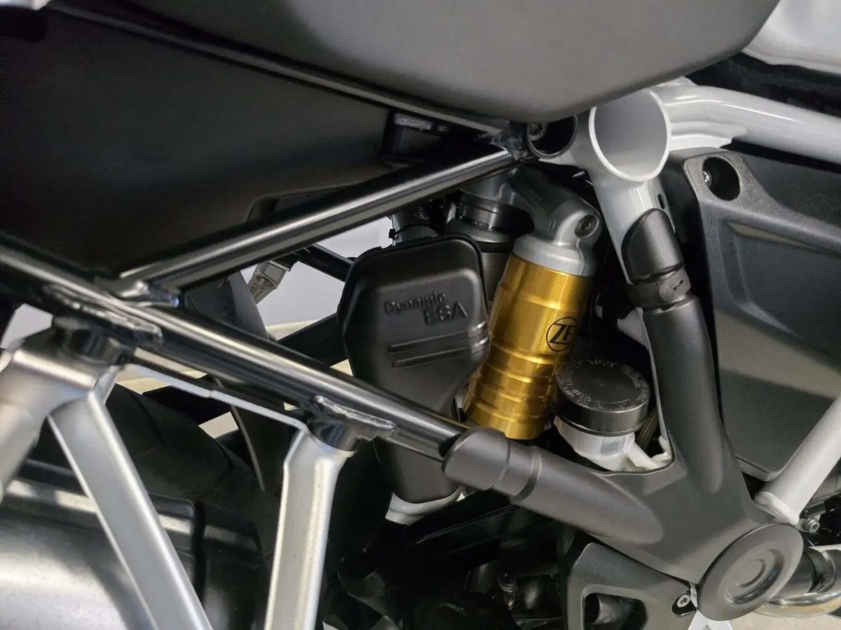 Bmw R 1250 GS Adventure (2021 - 24) (19)