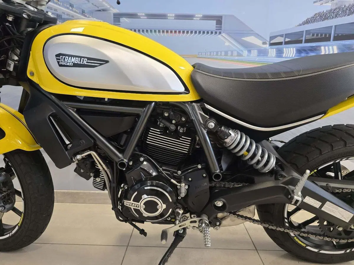Ducati Scrambler 800 Icon (2021 - 22) (8)