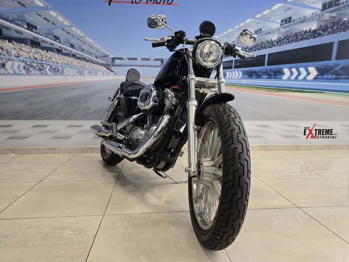 Harley-Davidson 883 Standard (2001 - 05) - XL 883 (3)