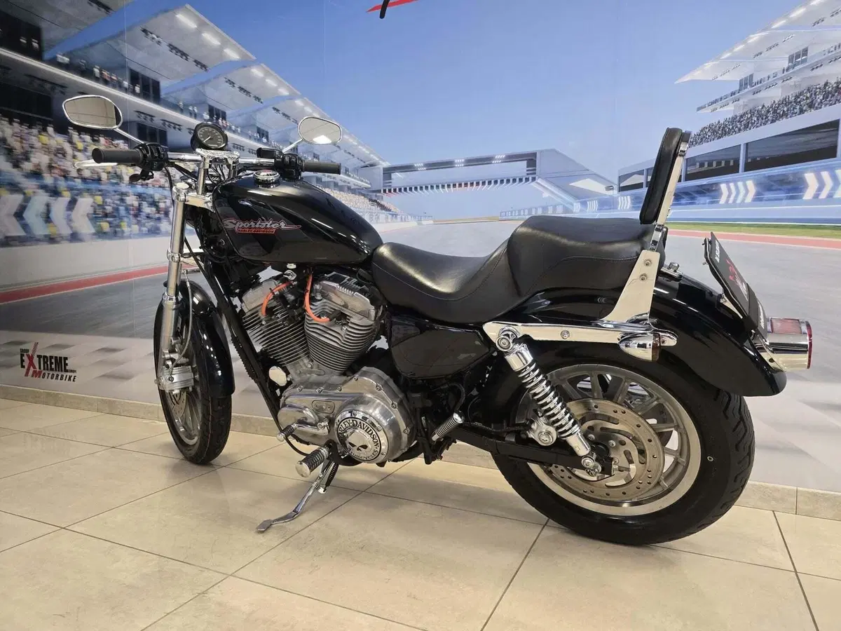 Harley-Davidson 883 Standard (2001 - 05) - XL 883 (5)