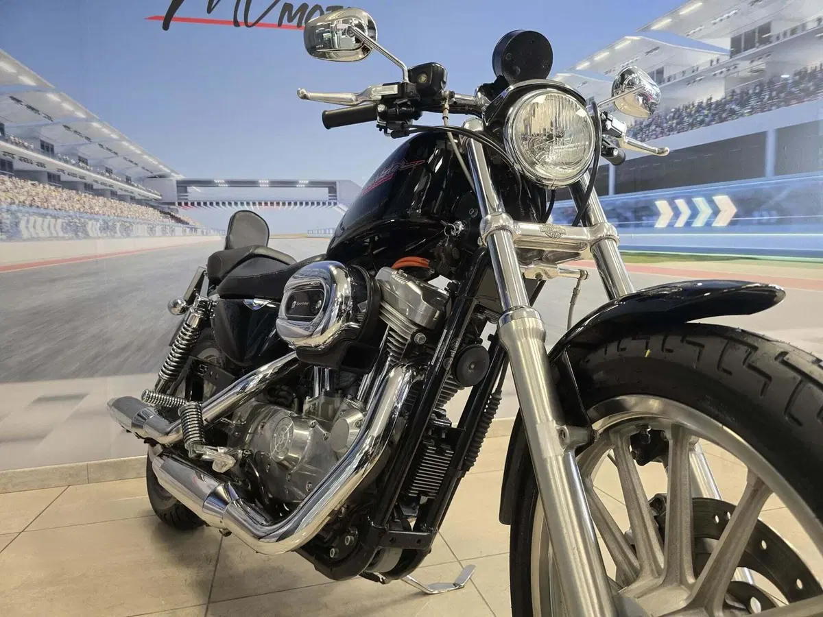 Harley-Davidson 883 Standard (2001 - 05) - XL 883 (14)