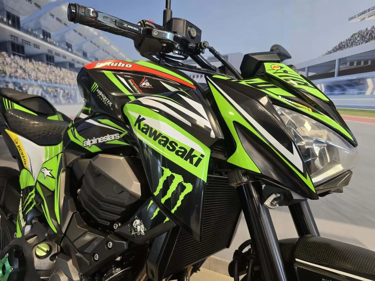Kawasaki Z 800 ABS (2012 - 16) (10)